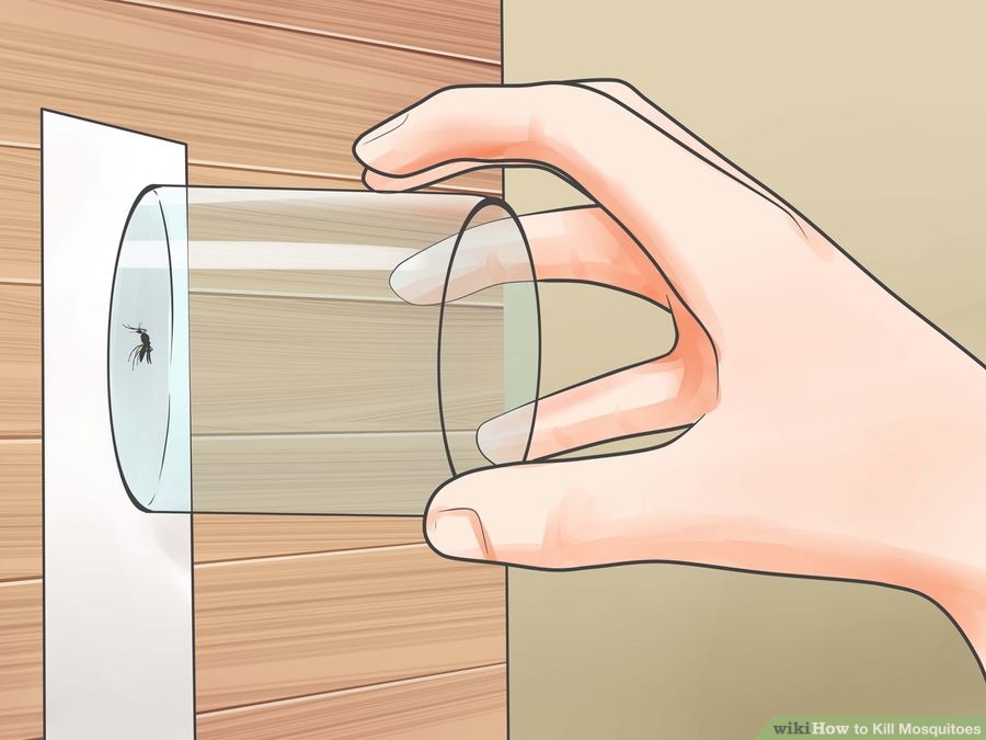 Cách đuổi muỗi ra khỏi nhà phòng tránh bệnh mùa mưa 10