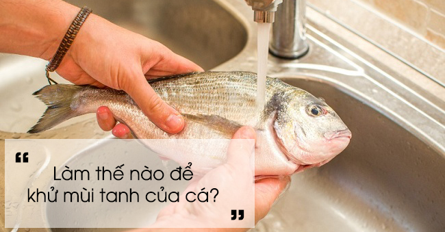 Để khử mùi tanh của cá người ta có thể rửa cá với giấm