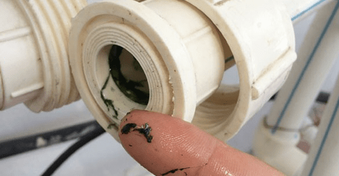 Chia sẻ những cách làm sạch rêu trong đường ống nước đơn giản